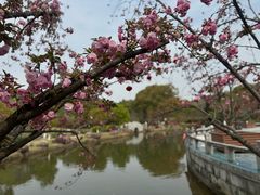 -白马涧龙池景区