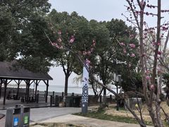 -苏州太湖湖滨国家湿地公园