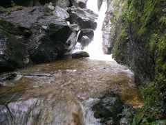 -牛背梁国家森林公园
