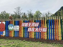 -王莽岭风景区