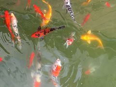 -上海虹桥宾馆(郁锦香品牌酒店)