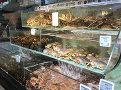 -超级物种(省府店)