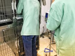 -爱侣宠医·鹦鹉专科·小型哺乳类·异宠专科(灵石路店)