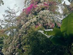 -深圳国际园林花卉博览园