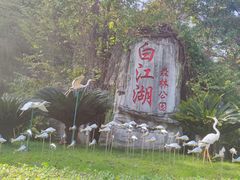 -广州白江湖森林公园
