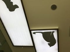 -米苏动物医院·犬猫专科·骨科外科内窥镜