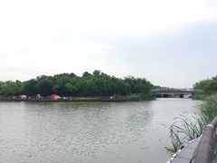 -南翔镇银翔湖公园