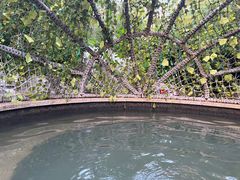 -悦隆庄温泉度假酒店