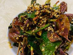 -东吴霸王兔(松青路店)