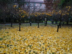 -陕西师范大学(雁塔校区)