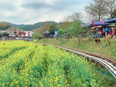 -红山村