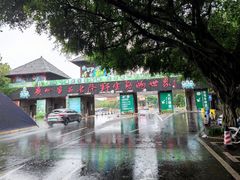 -正佳雨林生态植物园