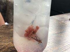 -Mr.P's无国籍料理
