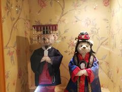 -济州岛泰迪熊博物馆