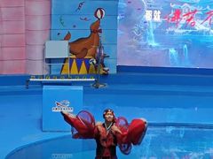 -长春中泰海洋世界