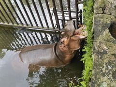 -海南热带野生动植物园