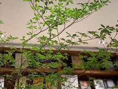 -二酉书店TOYOU BOOKS