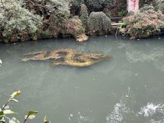 -杭州黄龙洞
