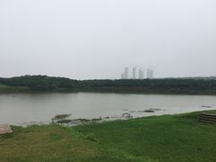 -盘龙城国家考古遗址公园