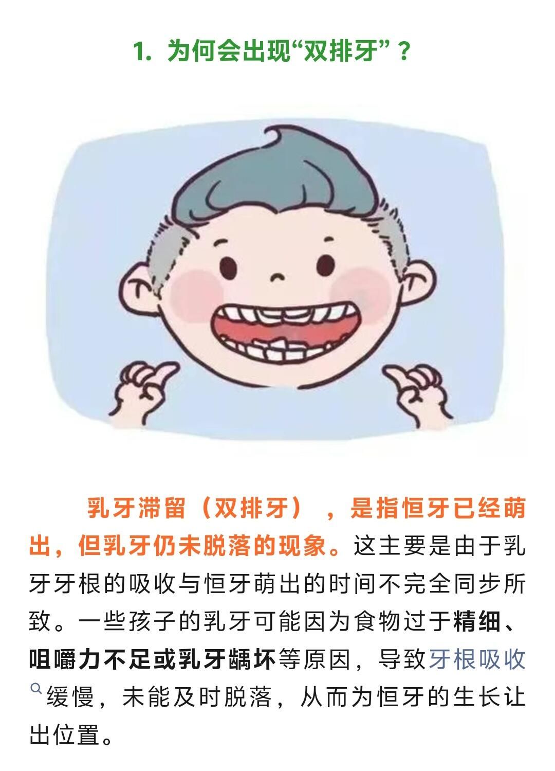 为什么会有双排牙