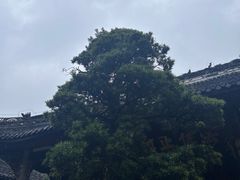 -宝光寺