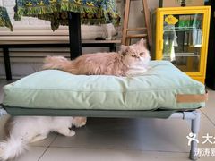 -平行世界·猫咖(首经贸店)