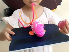 -学知乐教育·幼小衔接·小学科辅导(浦东外高桥森兰中心)