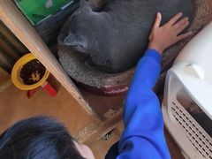 -小时光咖啡馆(开森度假森林店)