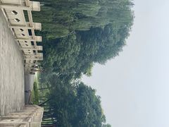 -眉山湿地公园(东坡区)