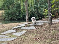 -尚贤河湿地