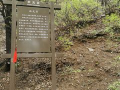 -阳台山自然风景区