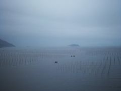 -北岐滩涂