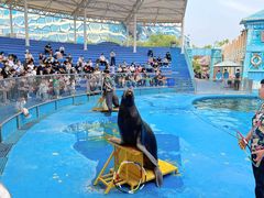 -华夏文旅西安度假区