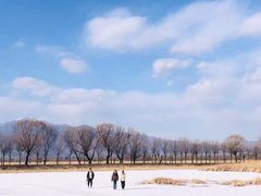 -野鸭湖国家湿地公园