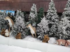 -世界之窗阿尔卑斯冰雪世界