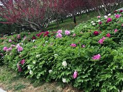 -石家庄市动物园