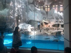 -帝企鹅自助餐厅•儿童岛•真企鹅(长隆企鹅酒店)