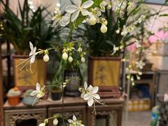 -双季花艺园艺市场(浦东店)