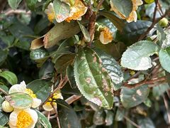 -敬亭山风景名胜区