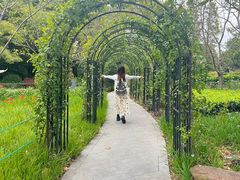 -鲁迅公园-垂钓中心