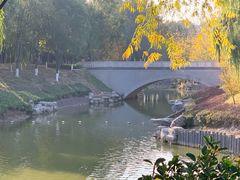 -大兴滨河森林公园