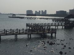 -碧海金沙