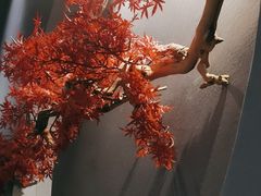 -金狮麟·新豫菜(杏石口路店)