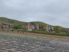 -大连北马山庄