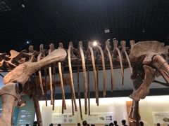 -衢州市博物馆