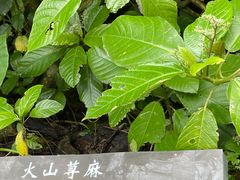 -海口火山口国家地质公园