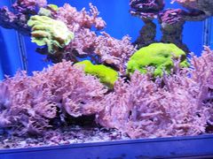 -海合安青岛极地海洋公园