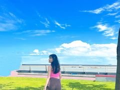 -野狸岛