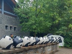 -都江堰中华大熊猫苑