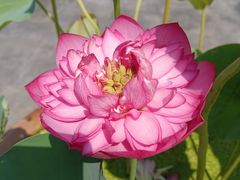 -李叔同故居纪念馆
